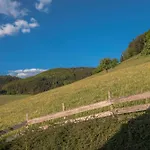 Geigerseppleshof * Mühlenbach