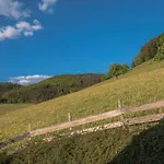 Geigerseppleshof