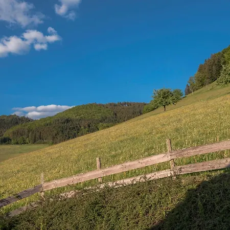 Geigerseppleshof * Mühlenbach