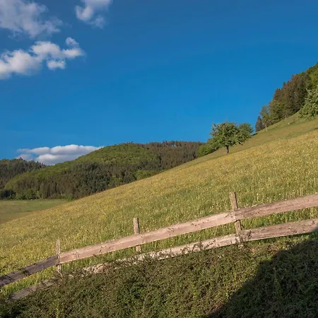 Geigerseppleshof
